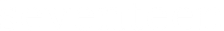 Imagen de Diecisiete