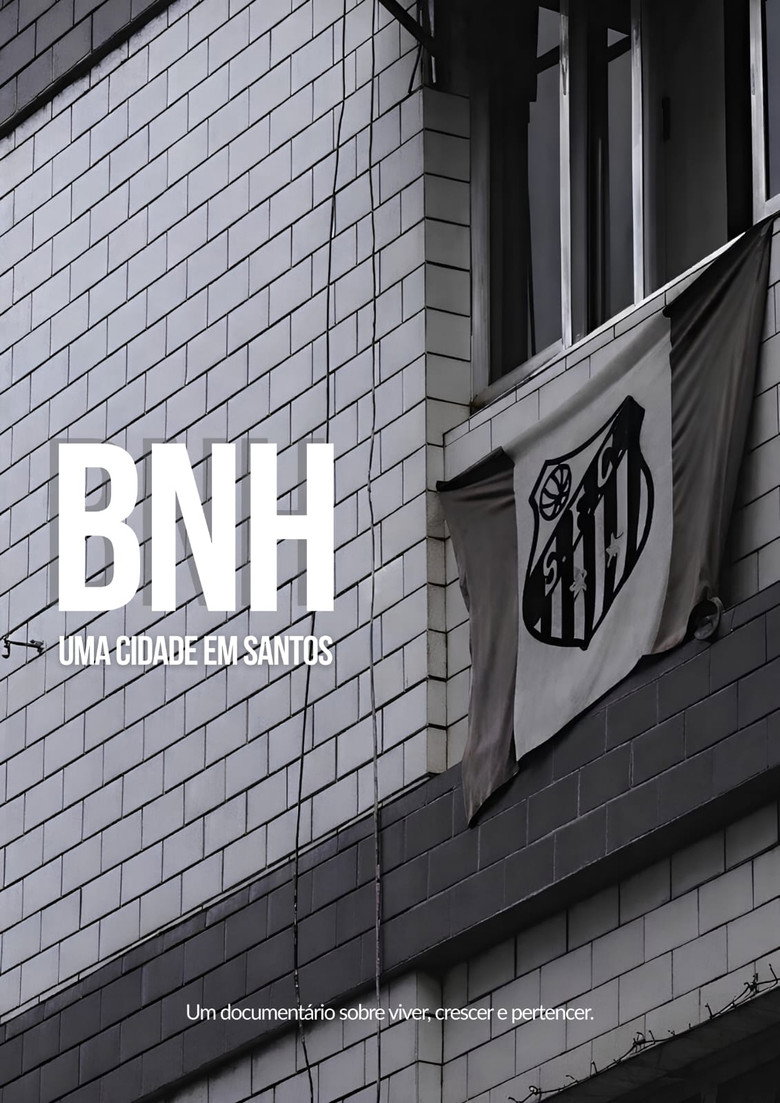 BNH: Uma Cidade em Santos poster