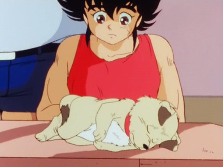 Still image for Jushin Liger season 1 episode 10: Farewell, Chiro! Sorrowful Demon Dragon Warrior Still image for Jushin Liger season 1 episode 10: Farewell, Chiro! Sorrowful Demon Dragon Warrior