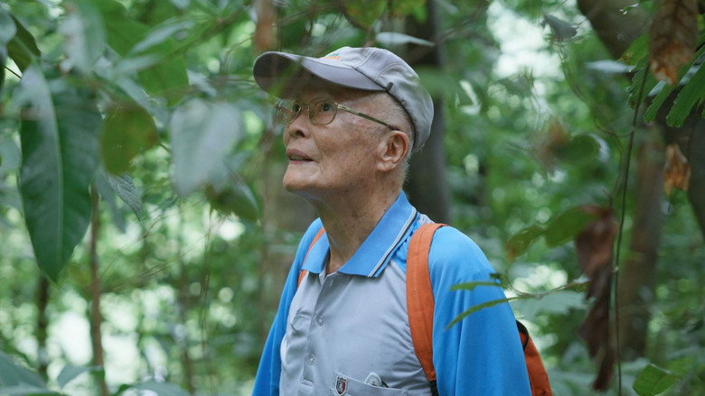 Imatge de 複層之森