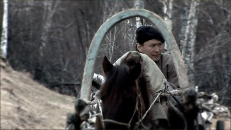 Gallery image from wRzTNv4807foE9g26uxwzVzH0TB.jpg