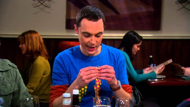 The Big Bang Theory: 3×17