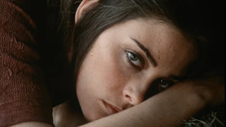 Adrift still 2