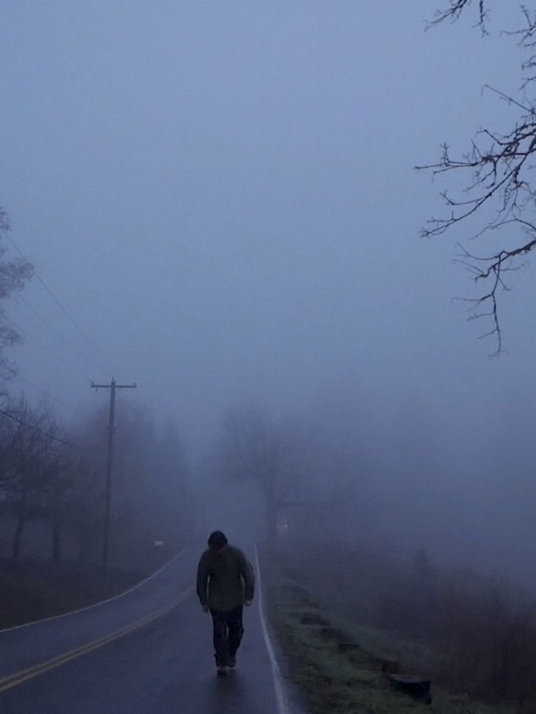 Imatge de the last view