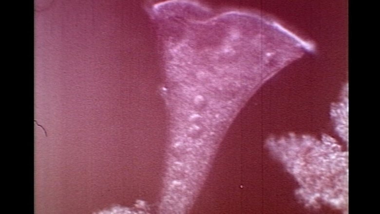 Gallery image from wUdbMHIuAfgR56IJWO96Hgkxncz.jpg