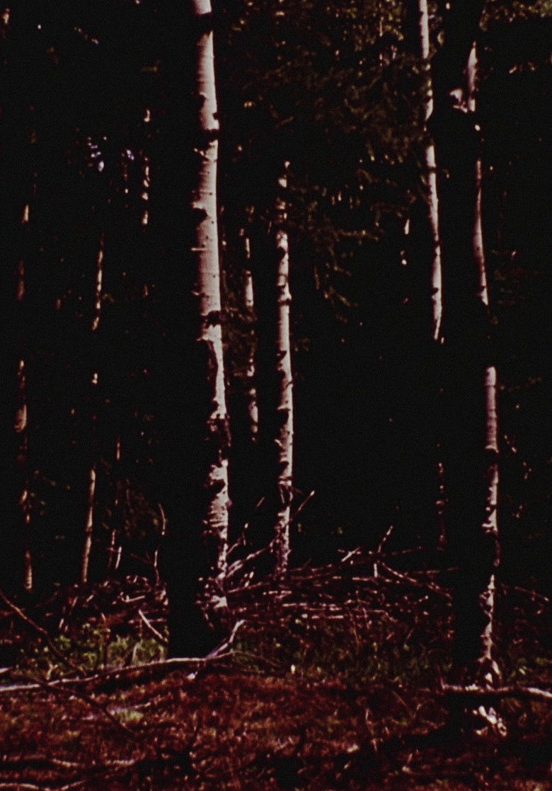 Imatge de The Wold-Shadow