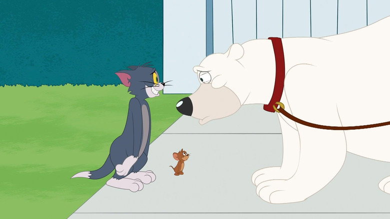 O Show de Tom e Jerry S04E77