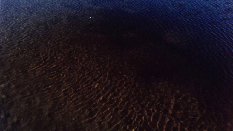 Vineyard III: sahne