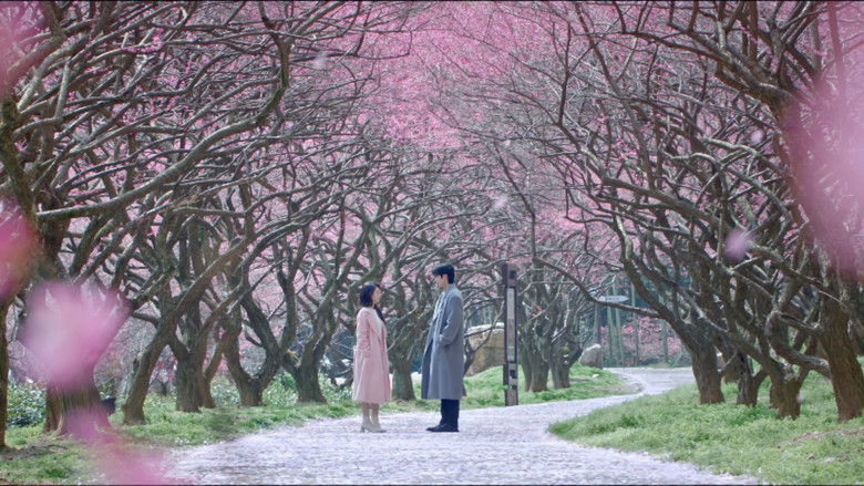 骄阳似我 Saison 1 Épisode 24 Voirfilms