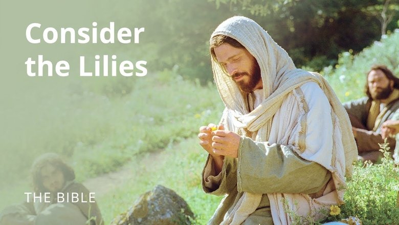 Still image for The Life of Jesus Christ season 1 episode 27: Luke 12 | Seek Ye the Kingdom of God Still image for The Life of Jesus Christ season 1 episode 27: Luke 12 | Seek Ye the Kingdom of God