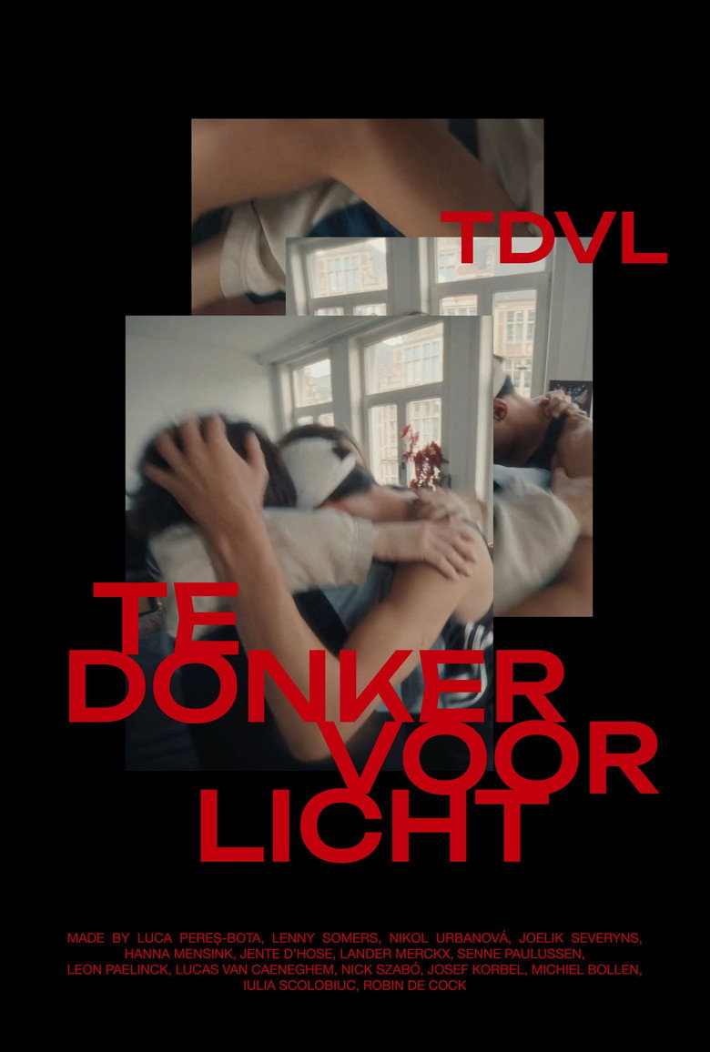 Imatge de Too Dark For Light