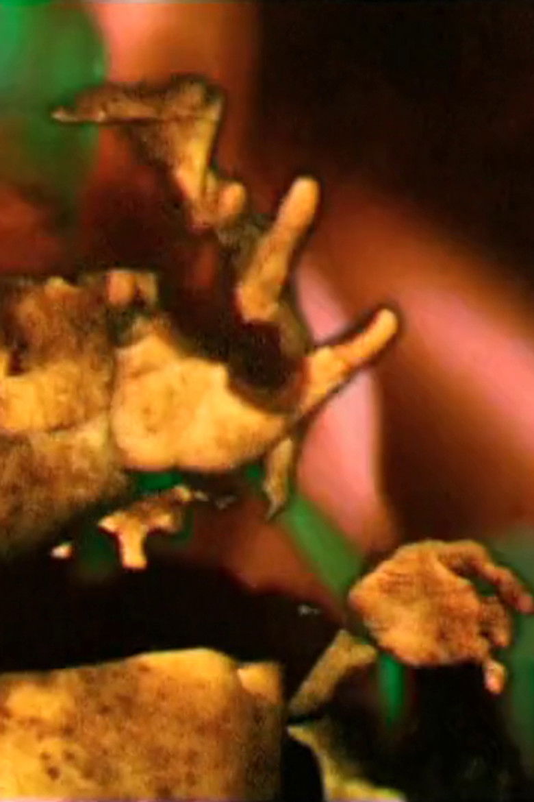 Imatge de Labyrinthe N°1