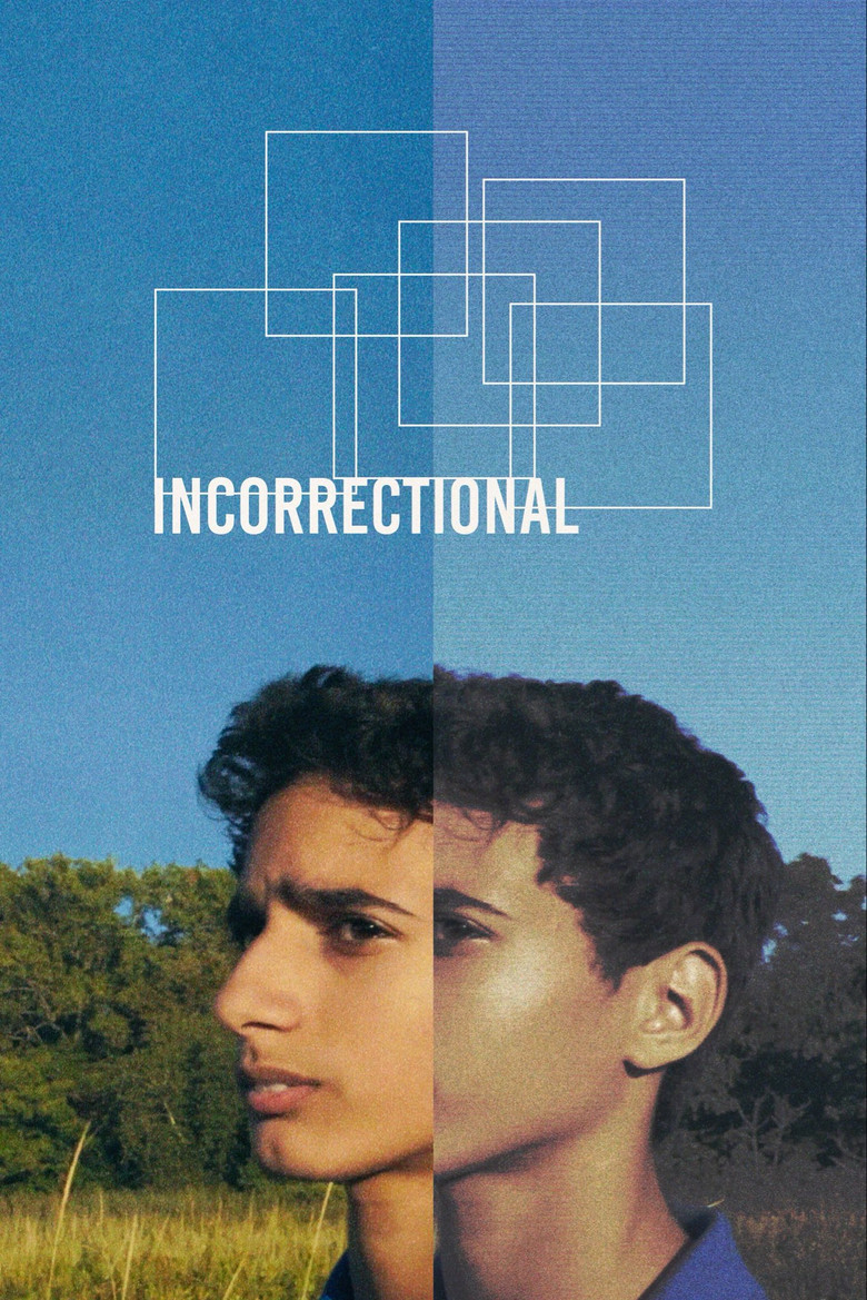 Imatge de Incorrectional