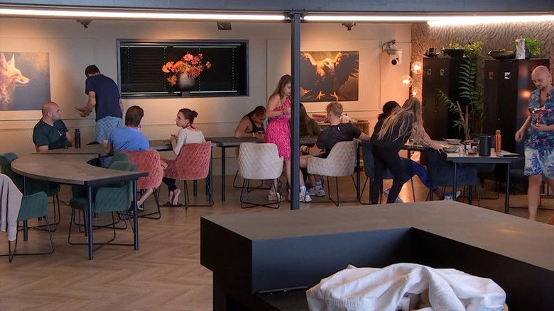 Still image for De Bondgenoten season 1 episode 226: Episode 226