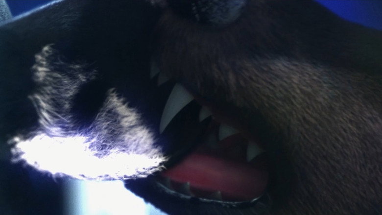 Frame from Bouchra