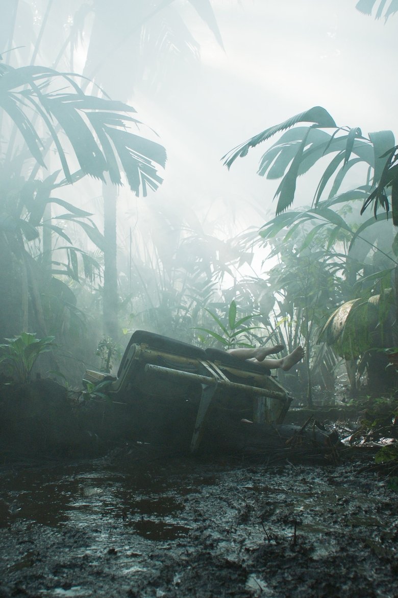 Imatge de Transamazonia