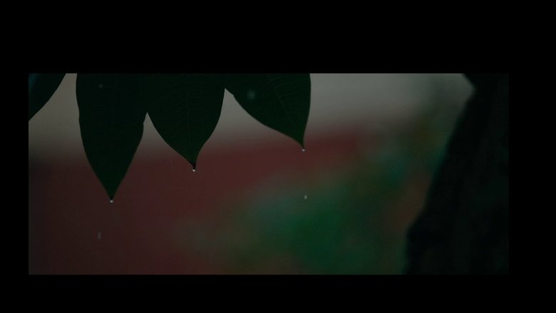 Gallery image from wasVkoKeQJQy66rXw5wyAxFEZEu.jpg