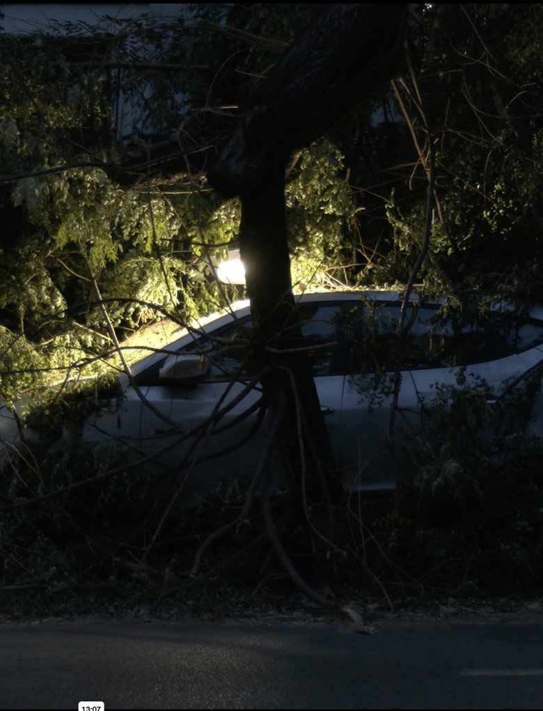 Esseri Urbani background