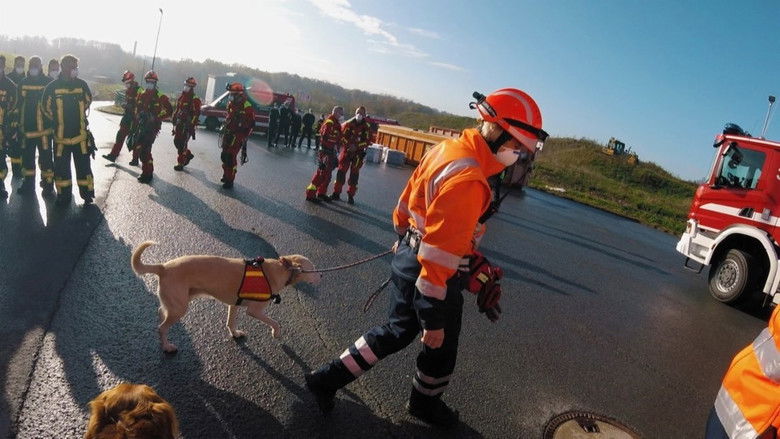 Rescue after a traffic accident | Exercise with the high-altitude rescuers and the rescue dog squad