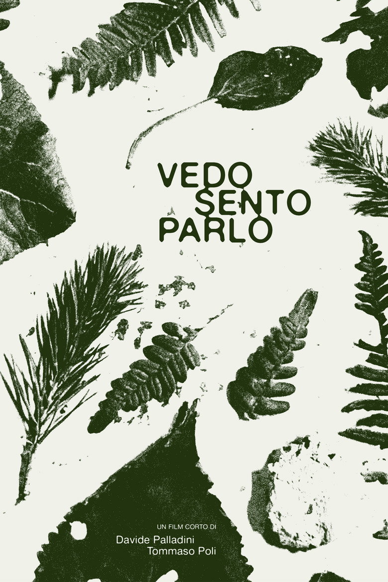 Imatge de Vedo Sento Parlo