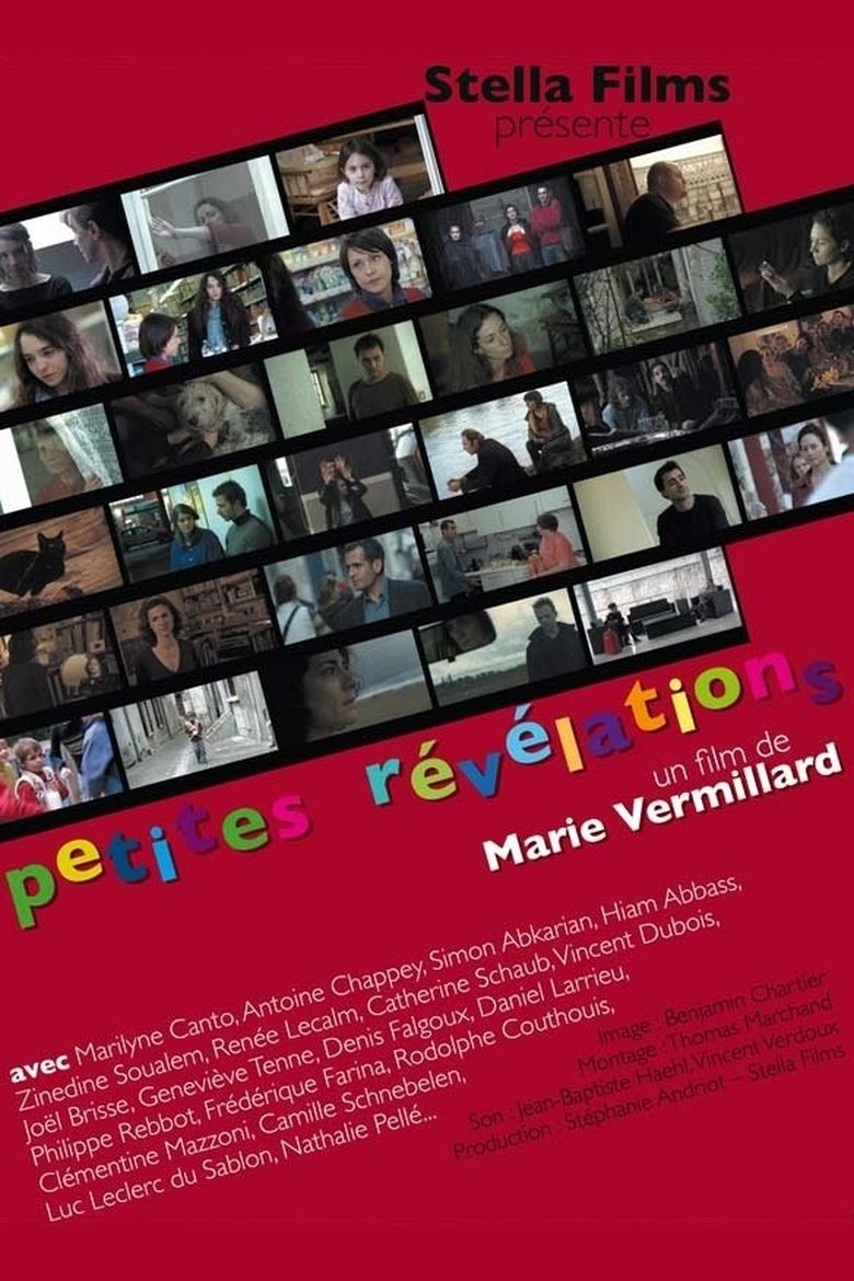Petites révélations (2008)