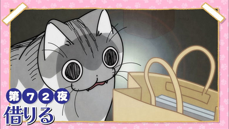 Still image for Nights with a Cat season 1 episode 72: Night 72: Borrowing