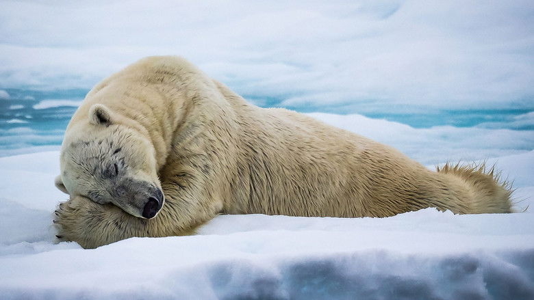 Still image for Mindful Earth season 1 episode 1: Breathe