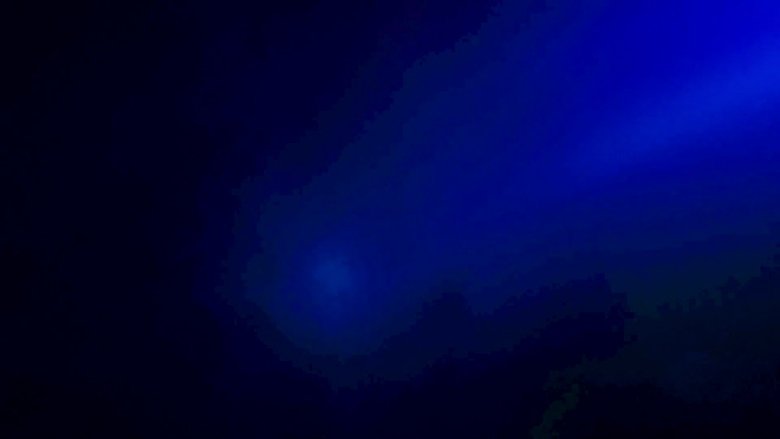 Creatures of the Deep main backdrop