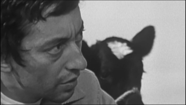 Gallery image from wgjgQs0IaPbE9VX8gBnYHtLyDr9.jpg