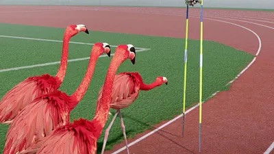 Still image for Athleticus season 1 episode 26: Episode 26