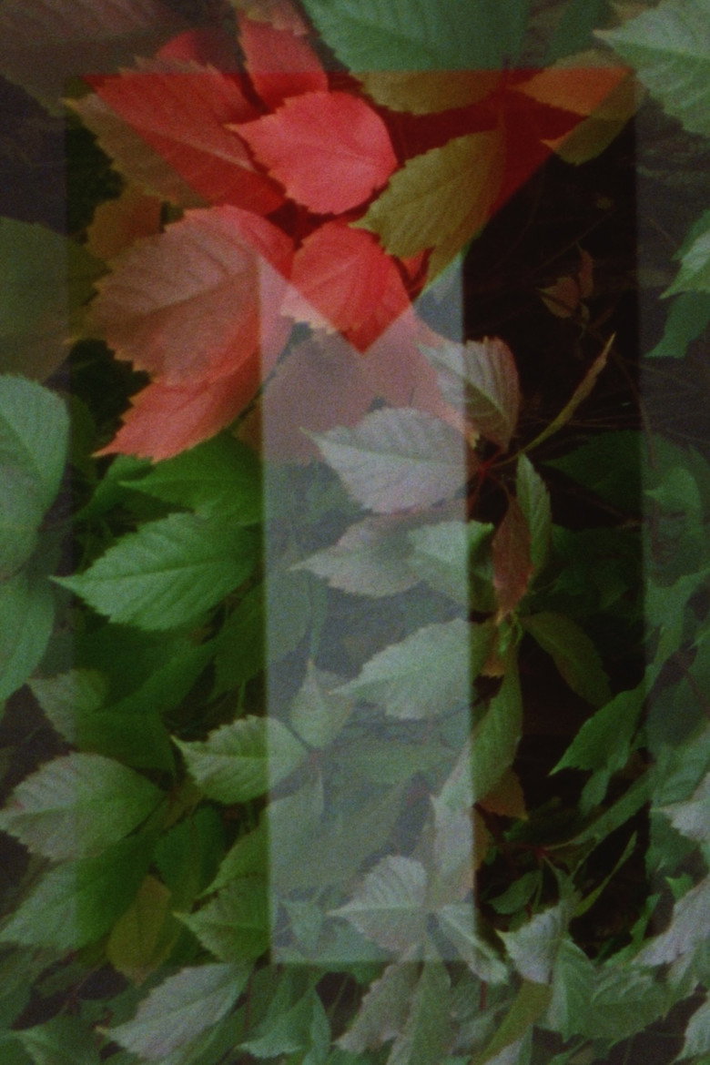 Imatge de In Spite of Hell