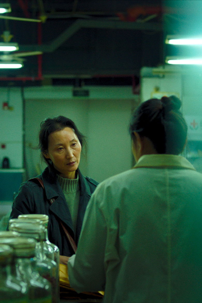 Imatge de 空房间里的女人