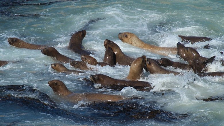 Gallery image from whL5g70qfgHbV3h9sKPYq6N6BYM.jpg