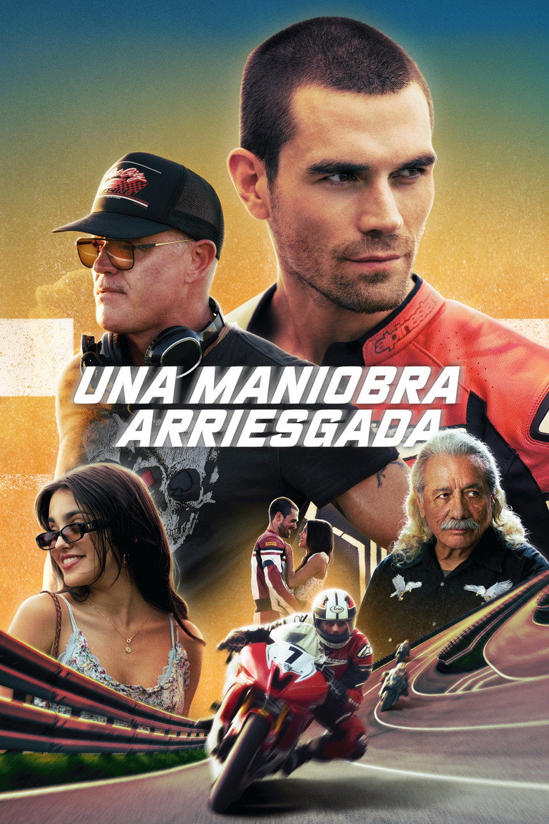 Póster la Película