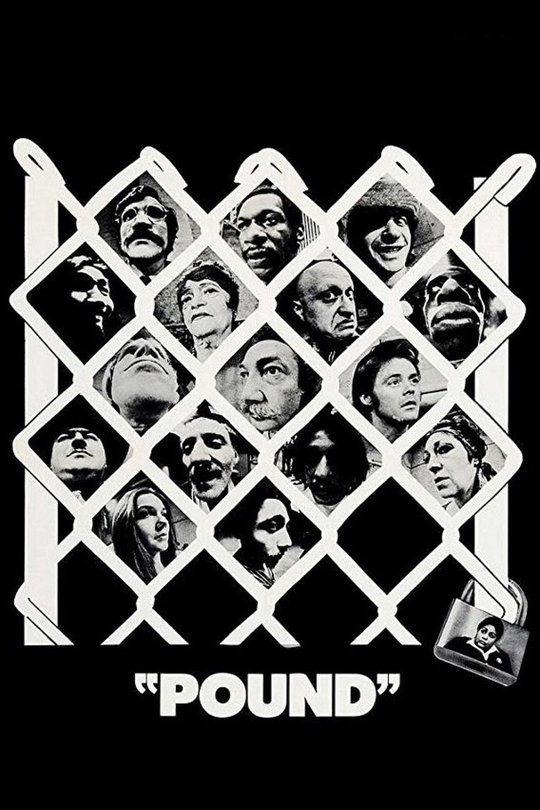 Pound main poster