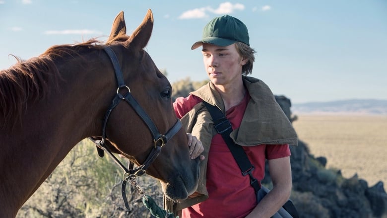 Schauen Lean on Pete On-line Streaming