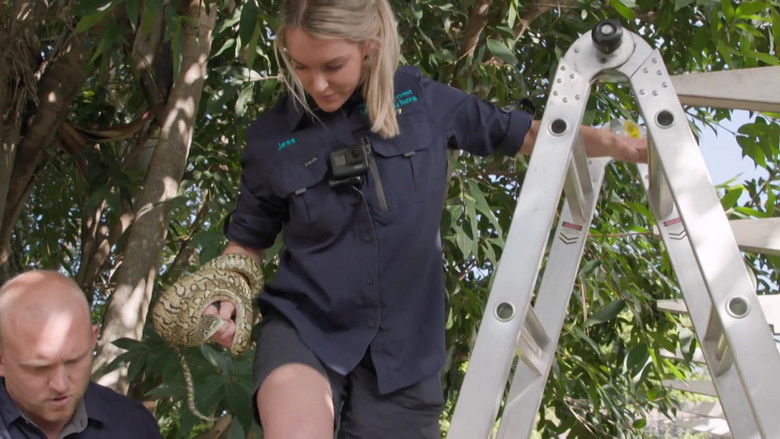 Still image for Aussie Snake Wranglers season 1 episode 9: A Deadly Bite Still image for Aussie Snake Wranglers season 1 episode 9: A Deadly Bite
