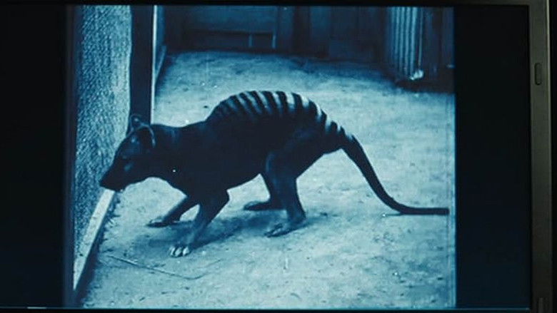 Gallery image from wkUlVByT5NmlqpSqJWHD81ZxCvt.jpg