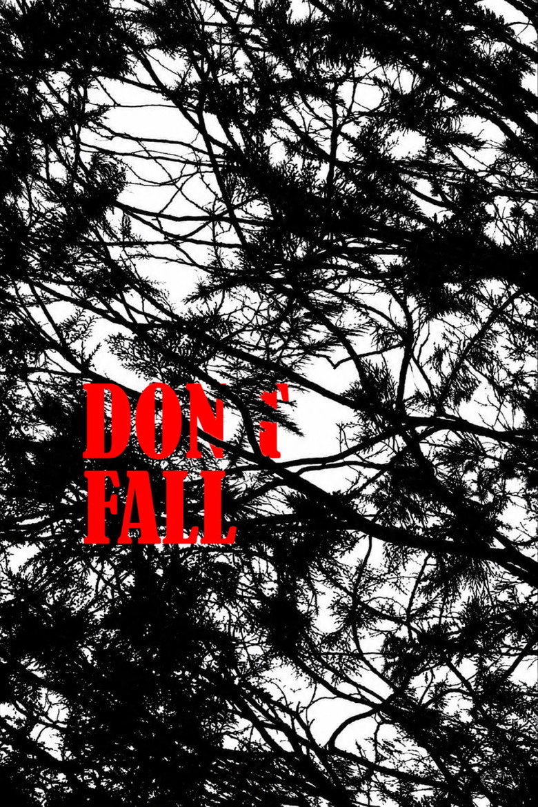 Imatge de Don`t Fall