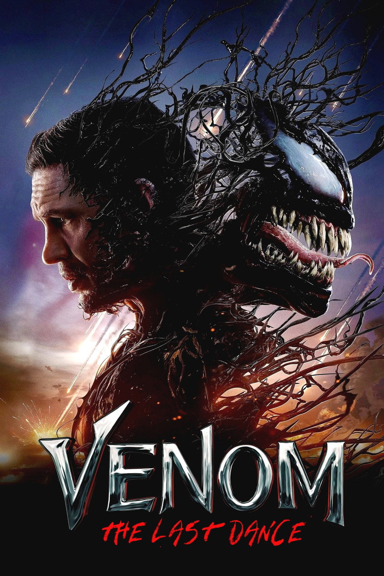 Póster la Película