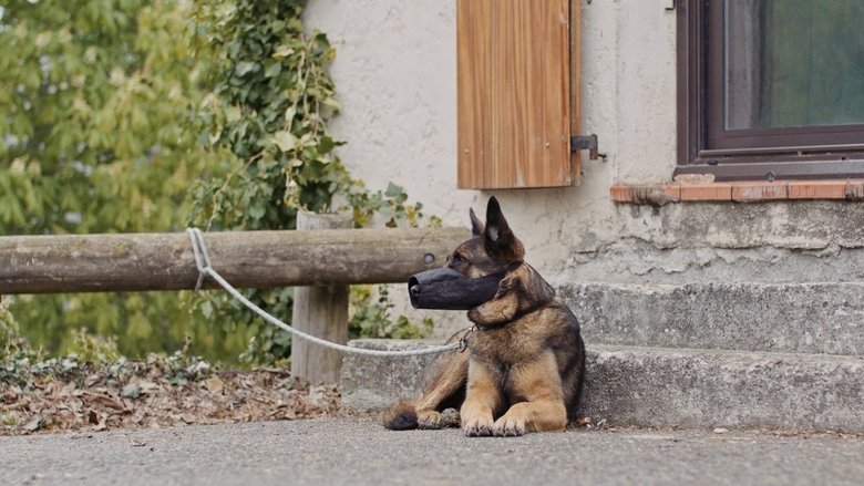 Gallery image from wmKLJjbHZSIQUpd7xB0FwlftEBU.jpg