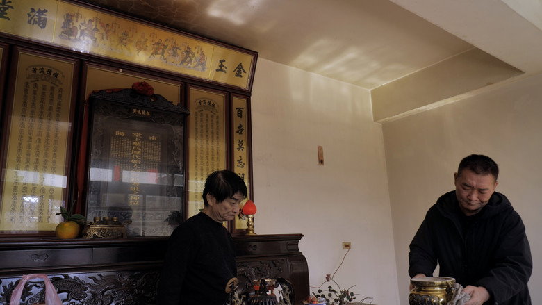 Imatge de 屋舍上的葉仔花