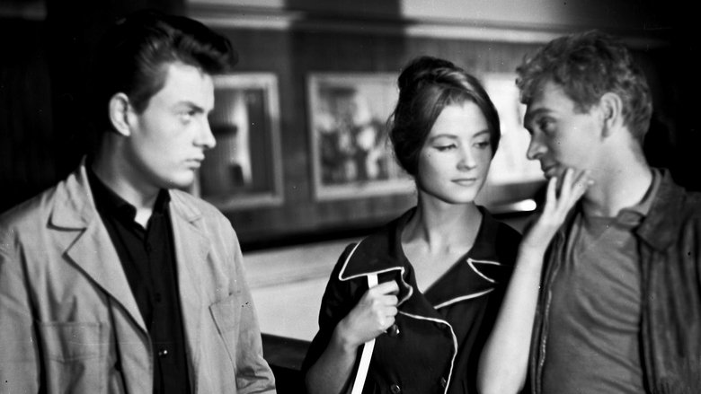 Gallery image from wmedtmRTFGA1CDbSxBSzNtwBHug.jpg