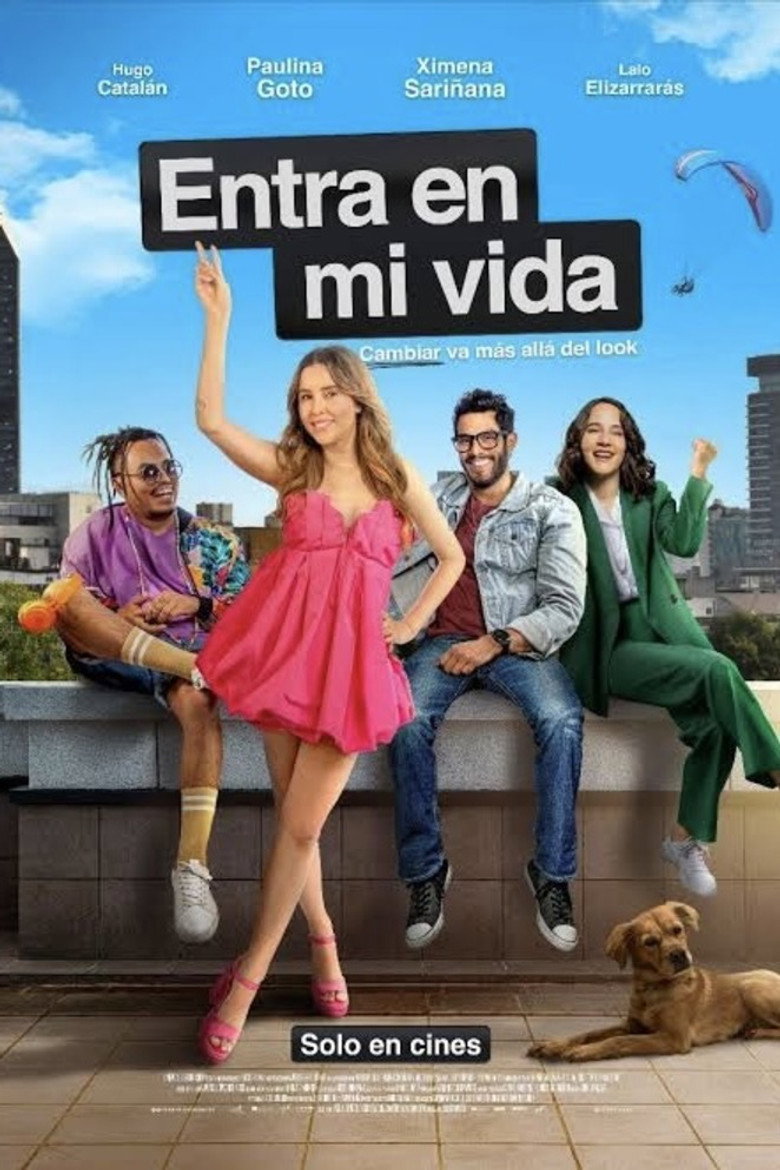 Póster la Película