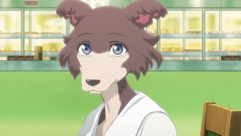 The Night Beyond The Tricornered Window Streaming Vostfr Beastars: Saison 2 Episode 8 - Episode complet en DDL Streaming VF