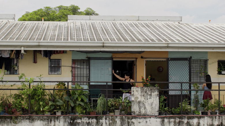 Next Room Affair (2025)