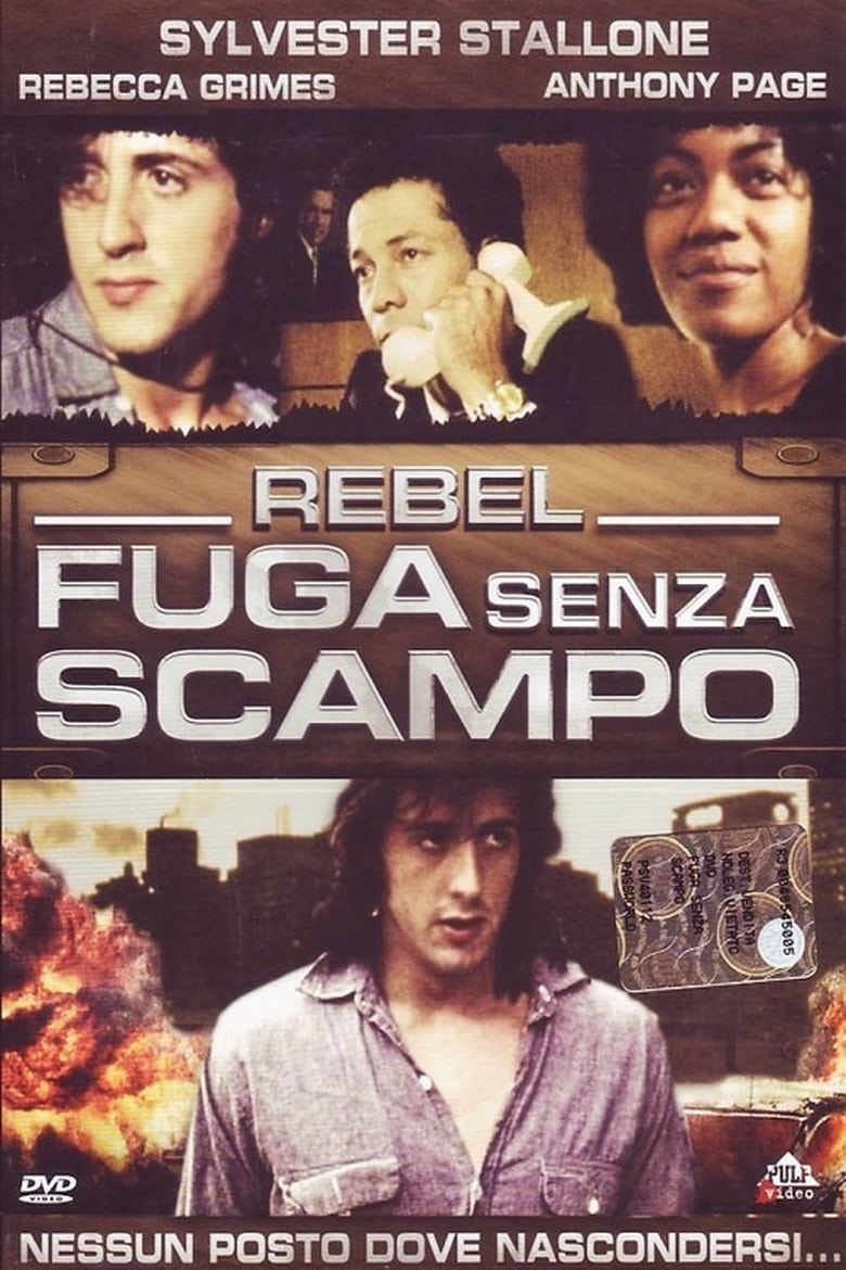 Copertina di Rebel - Fuga Senza Scampo