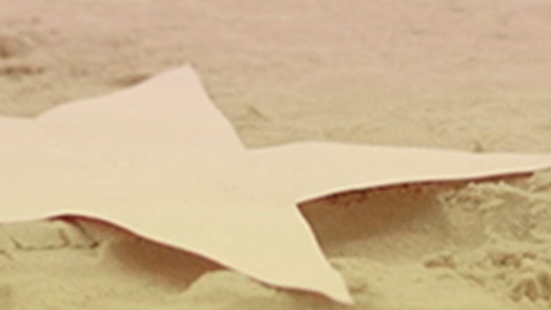 Gallery image from wpD2yWIQjmq1u2o7YvlASYIvQJR.jpg