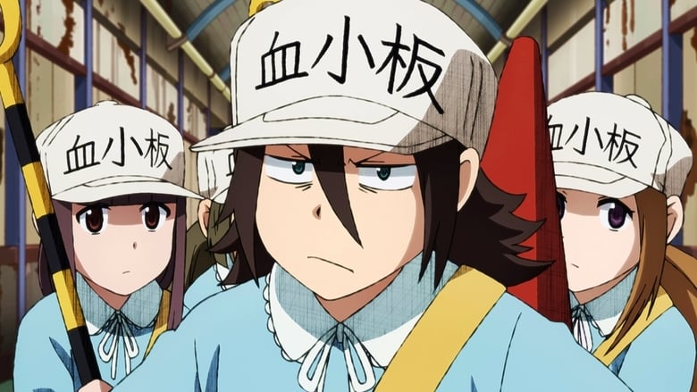 Assistir Hataraku Saibou!! 2 Episodio 6 Online