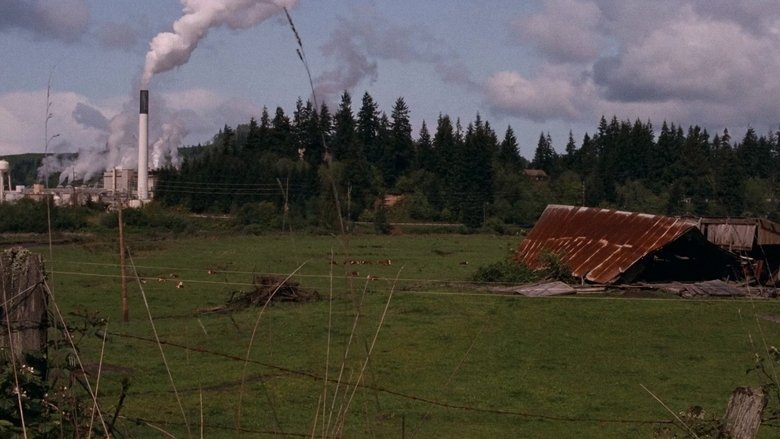 Gallery image from wpNp7I3VJbGTXRsMySmsZRJiMr.jpg